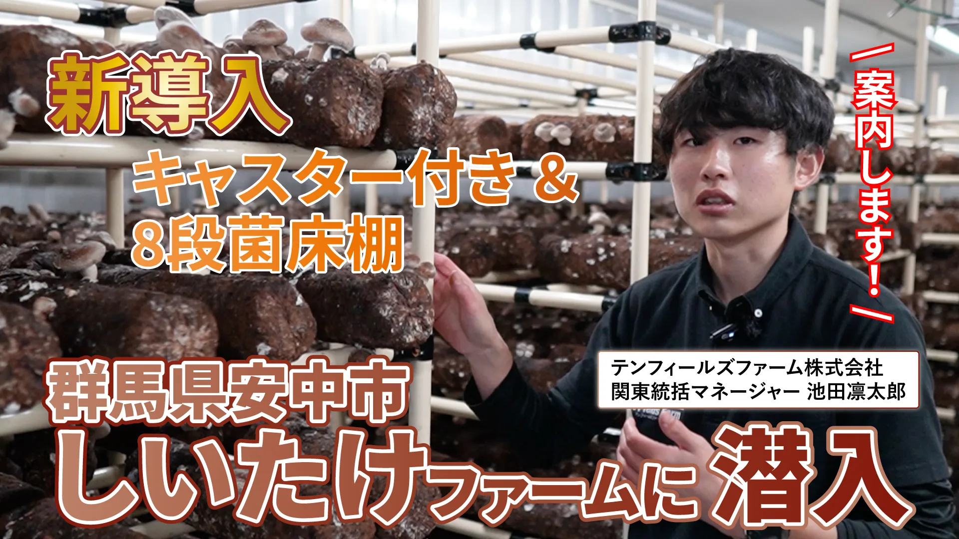【コンテナ×しいたけ】群馬ファームを案内します！