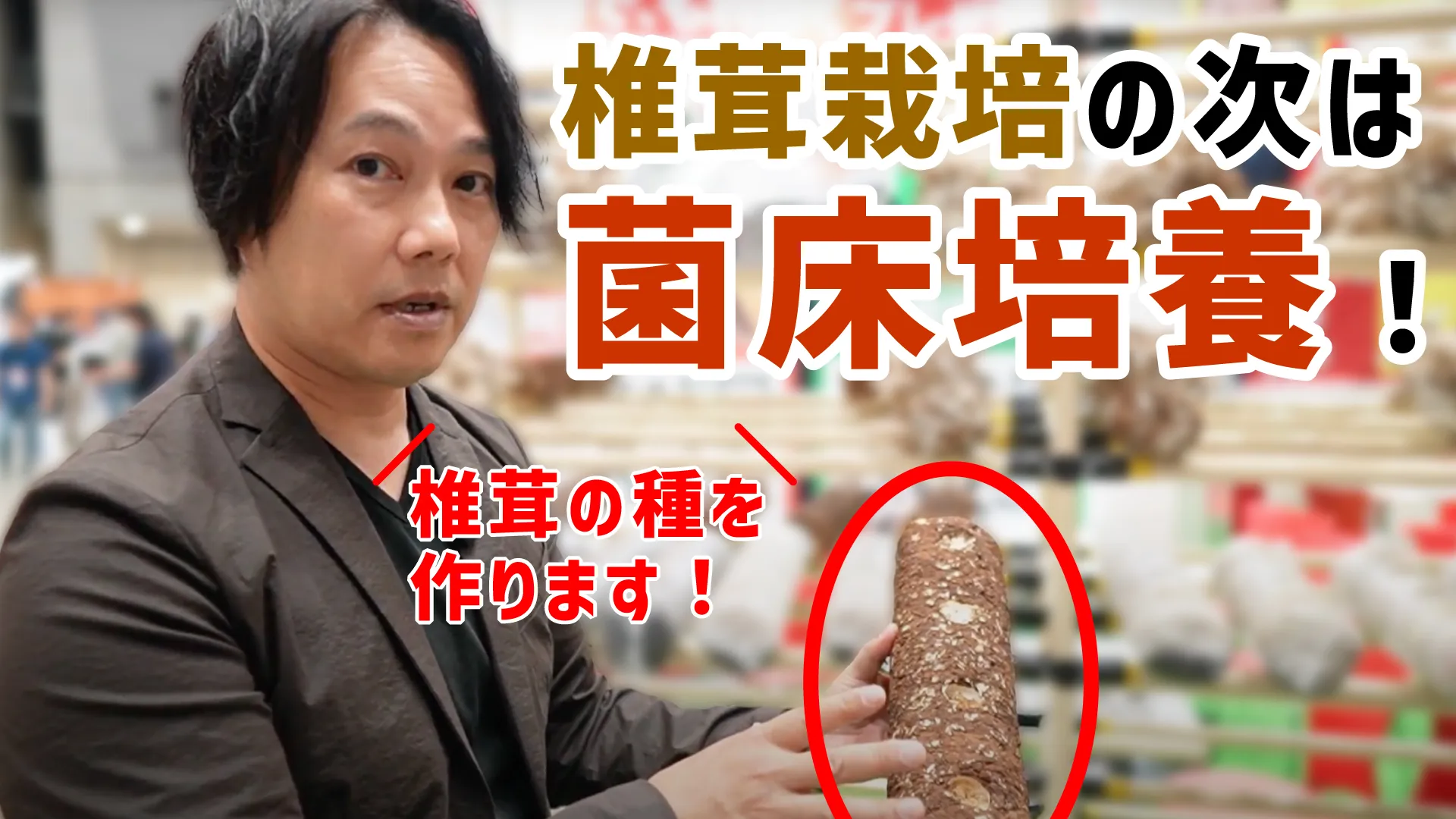 【資産運用EXPO】しいたけ菌床培養も大盛況でした！
