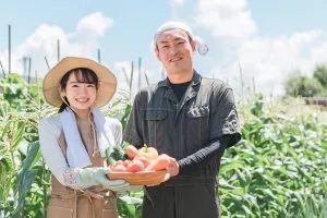 ノーサの画像